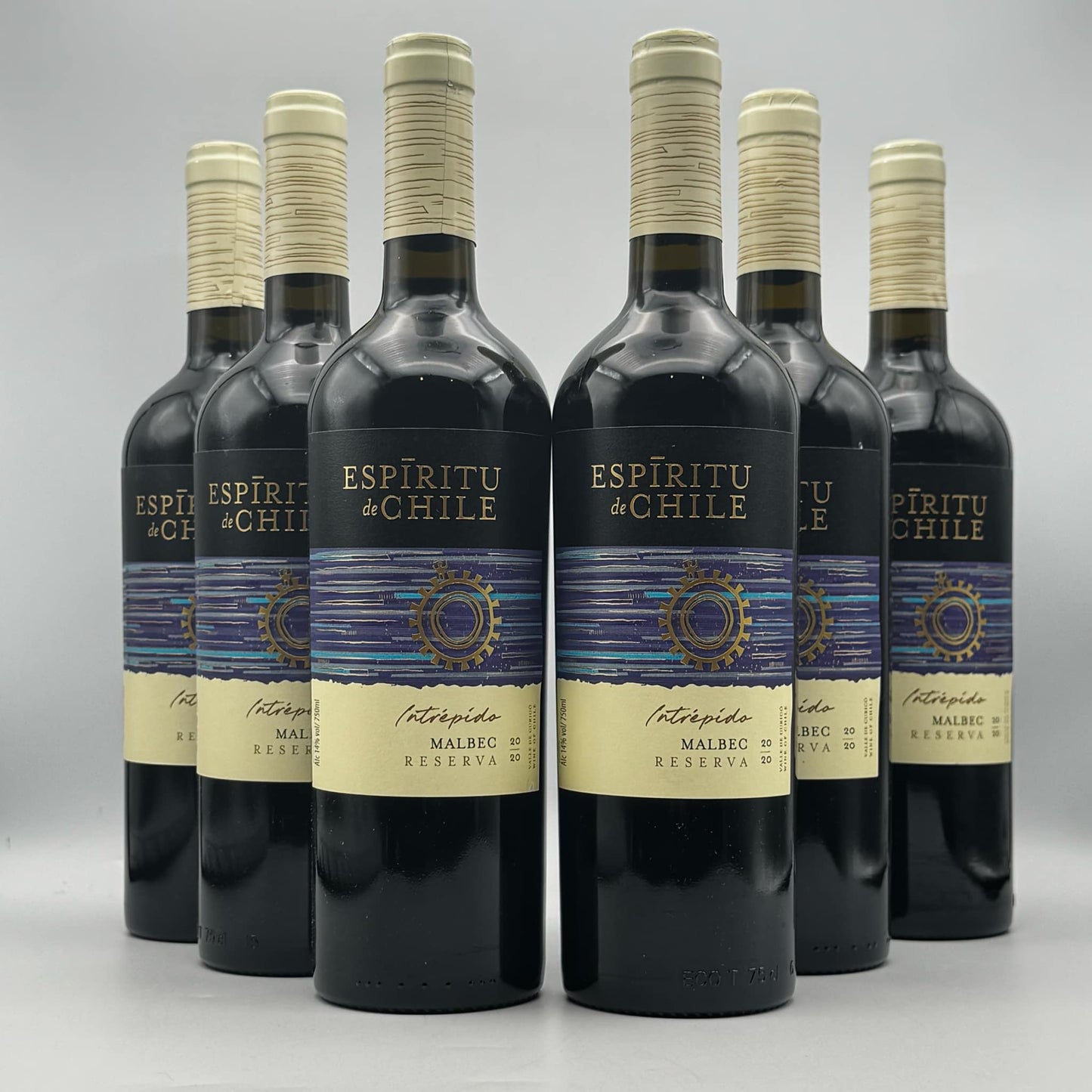Case Malbec (6 Bottles)